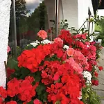 Homestay szállás In Near Lift *