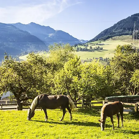 In Near Lift Privat bolig *