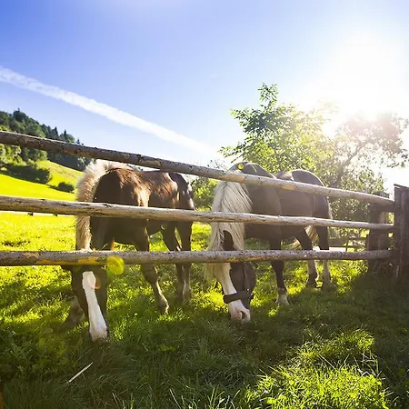 Privat bolig In Near Lift Taxenbach