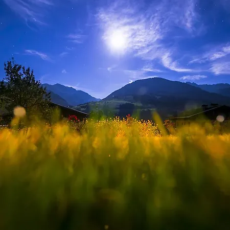 In Near Lift * Taxenbach