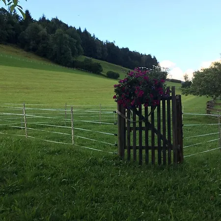 In Near Lift