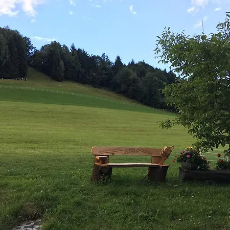 Homestay With Garden Garden Furniture Bbq