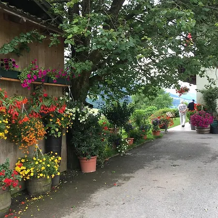 Homestay With Garden Garden Furniture Bbq Taxenbach