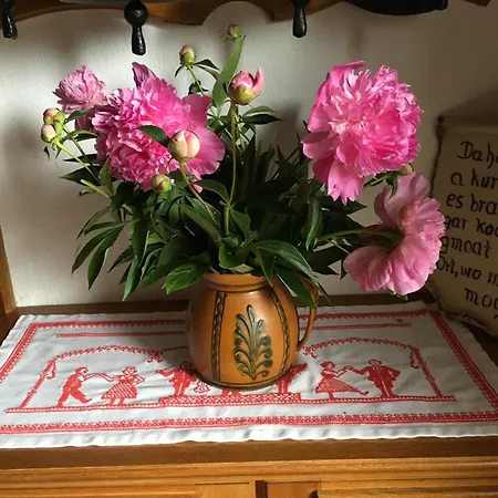 Privat bolig In Near Lift Taxenbach