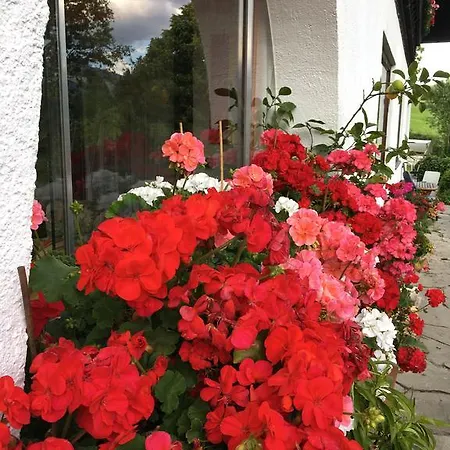 Privat bolig In Near Lift *