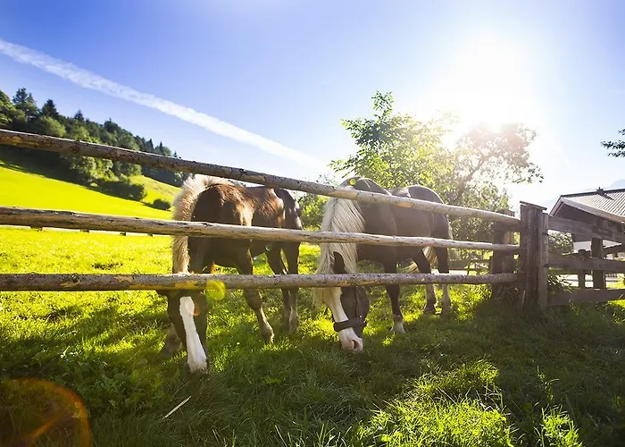 منزل للإقامة أزوبرهوب آم كلايمزونبيرغ تاكسنباخ