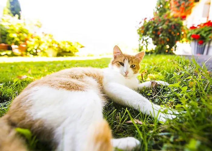 أزوبرهوب آم كلايمزونبيرغ منزل للإقامة