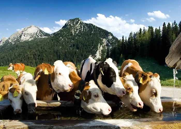 منزل للإقامة أزوبرهوب آم كلايمزونبيرغ