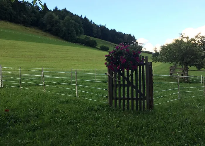 In Near Lift