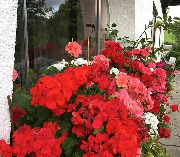 Homestay In Near Lift *